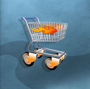Electronic Payment Gateways for e-commerce Shopping Carts